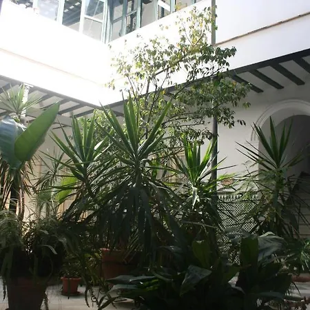 Top Casa Carmen Centro Jerez Cadiz شقة *