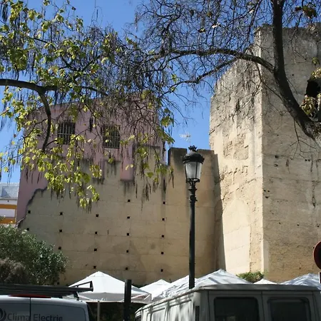 Top Casa Carmen Centro Jerez Cadiz شقة جيريز