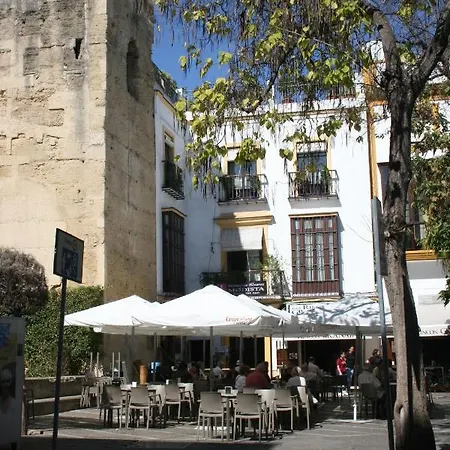 Top Casa Carmen Centro Jerez Cadiz